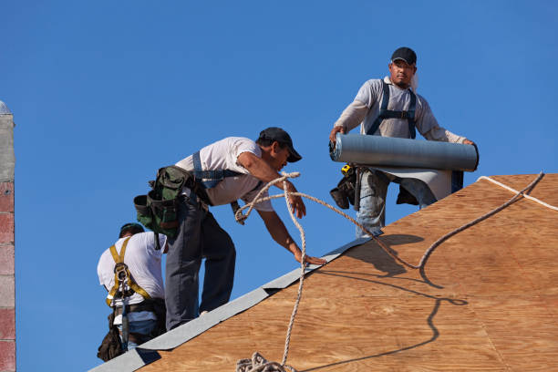 Best Residential Roofing Contractor  in Sconsin Dells, WI